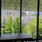 View from breakfast